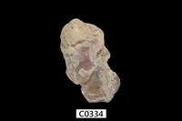 藏品(牡蠣)的圖片